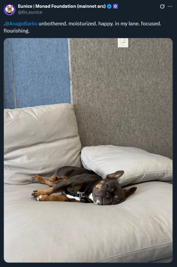 Anago relaxed on bed