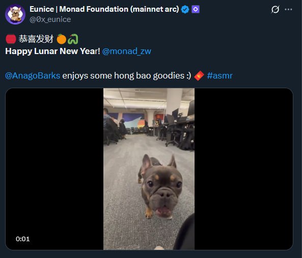 Anago enjoying hong bao at Lunar New Year